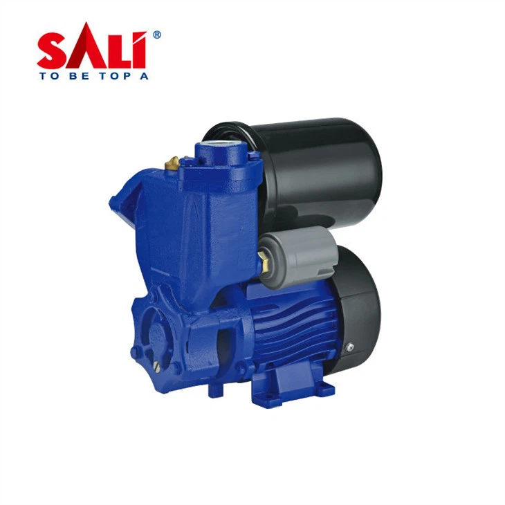 self-priming peripheral pump  (2)