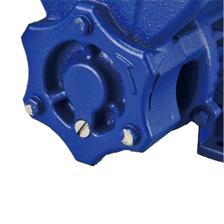 self-priming peripheral pump  (5)